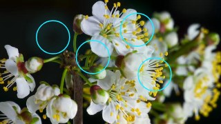 Neon Web look — BabyTrack effect preview