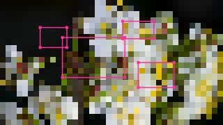Pixel Boxes look — BabyTrack effect preview