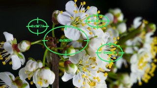 Scope Lock look — BabyTrack effect preview