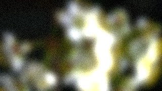Dreamy look — BlurSuite effect preview