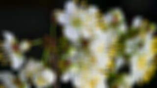 Soft look — BlurSuite effect preview