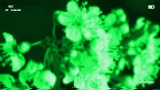 Night Vision look — Camcorder effect preview