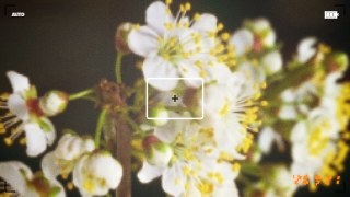Y2K Digicam look — Camcorder effect preview