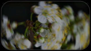 Subtle look — Glassify effect preview