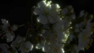 Toxic Glow look — Lumina effect preview