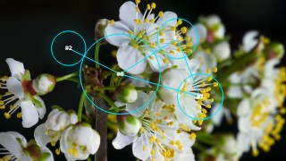 Neon look — ImageTrack effect preview