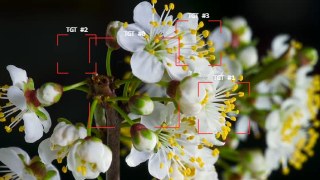Targeting look — ImageTrack effect preview