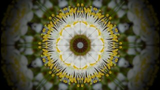 Classic Mandala look — Kaleidoscope effect preview