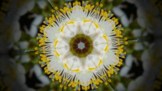 Hexa Mirror look — Kaleidoscope effect preview