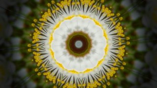 Pulse Bloom look — Kaleidoscope effect preview