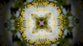 Square Crystal look — Kaleidoscope effect preview