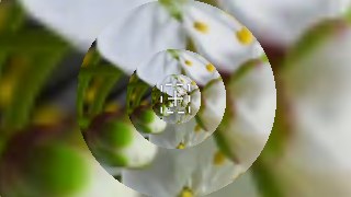Classic look — LoopFlow effect preview