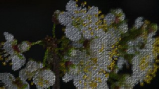 Fine Mesh look — LowPoly effect preview