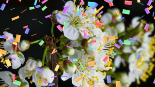 Confetti Pop look — Particles effect preview