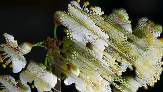 Diagonal look — PixelSort effect preview