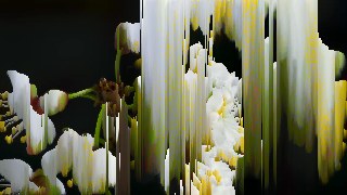 Melt look — PixelSort effect preview