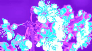Vaporwave look — ReColor effect preview