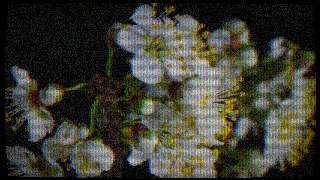 Trinitron look — Scanline effect preview