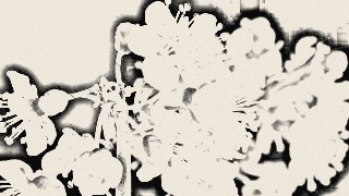 Charcoal look — Sketch effect preview