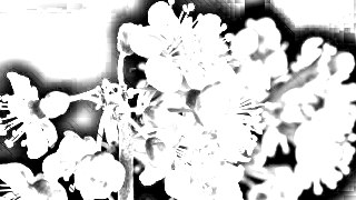 Comic Hatch look — Sketch effect preview