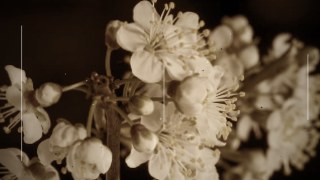 8mm Memory look — Stutter effect preview