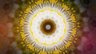 Mandala Bloom vibe — Kaleidoscope + Trails