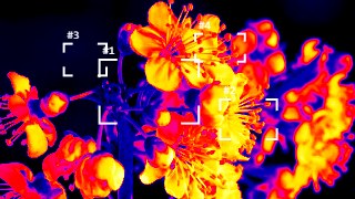 Thermal HUD vibe — ReColor + BabyTrack