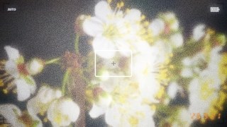 Y2K Flash vibe — Camcorder